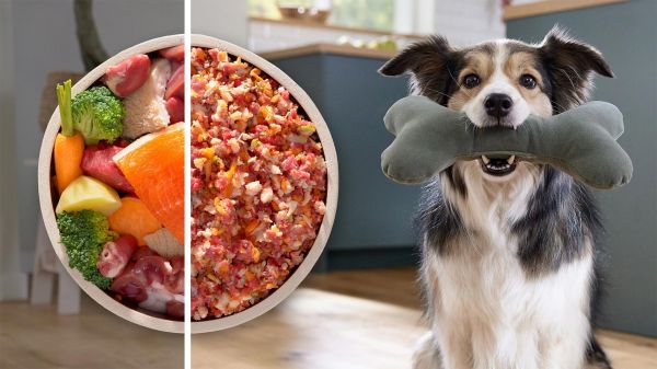 ��������� Bosch MFWS660B - �������� 15