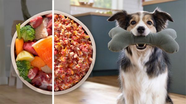 ��������� Bosch MFWS682B - �������� 18