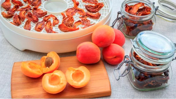 ������� MPM MSG-03 - �������� 2