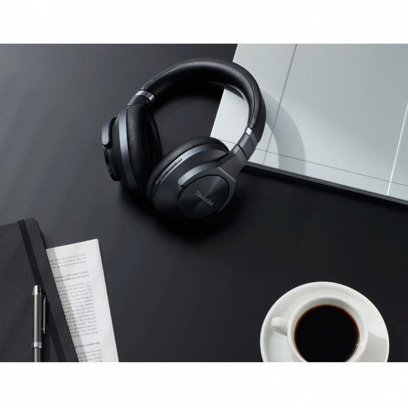 �������� Technics EAH-A800G-K - �������� 10