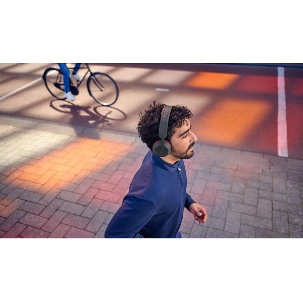 ��������� Philips TAA6219 (TAA6219BK/00) - �������� 12