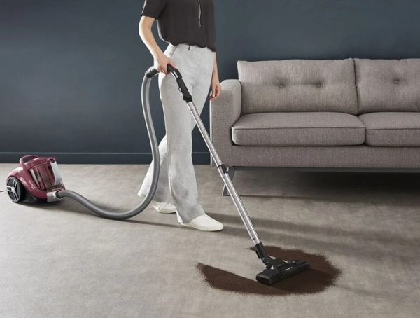 ������� Rowenta Compact Power XXL Animal + Kit RO4B63EA ������� - �������� 6