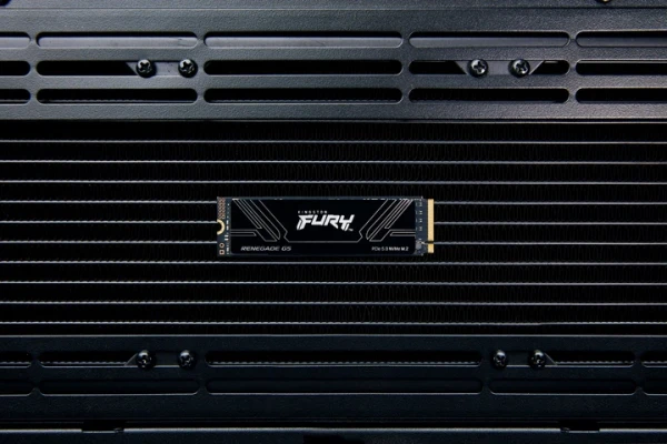 SSD ���������� Kingston FURY Renegade 8TB M.2 PCIe 5.0 (SFYR2D/8T1) - �������� 5