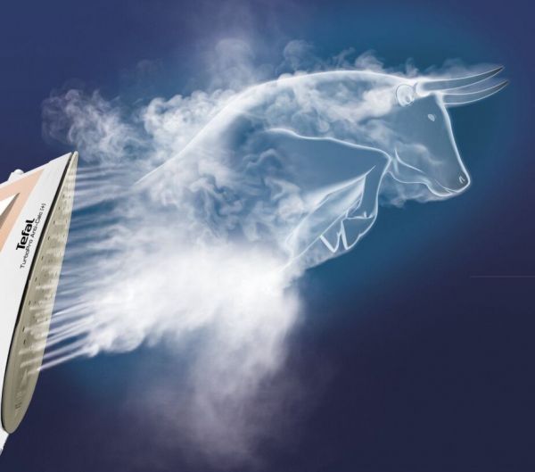 ������ Tefal FV5697E1 - �������� 5