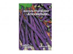 ó���� ������� �������� ���������� 20� (10 �����) �������� �������