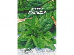 ó���� ������ ������� 20� (10 �����) ����Ѳ��� �������