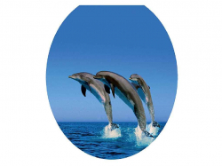 ������ �/������� ���� (��������) ��AQUAFAIRY LUX BEJ