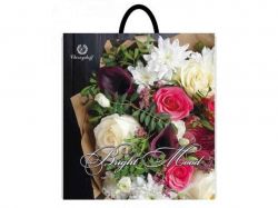 �����-����� �������� ����� 400*420 (25��) ��������� ���