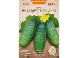 ���� ����� �� ������� ������ F1 4� (10 �����) (��) �������� �������