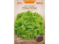 ���� ����� �������� ����� ������ 5� (10 �����) (��) ����Ѳ��� �������