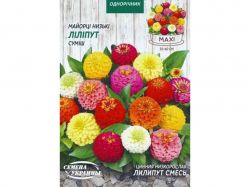 ���� ֳ���� ���. ������� (�����) 5� (10 �����) ����Ѳ��� �������