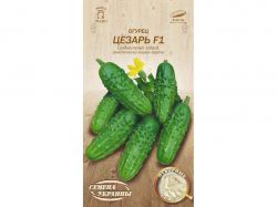 ����� ������ F1 �� 0,5� (20 �����) (��) ����Ѳ��� �������