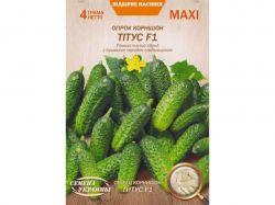 ���� ����� �������� Ҳ��� F1 4� (10 �����) (��) �������� �������