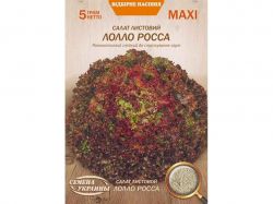 ���� ����� �������� ����� ����� 5� (10 �����) (��) �������� �������