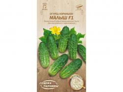 ����� �������� ����� F1 �� 0,5� (20 �����) (��) ����Ѳ��� �������