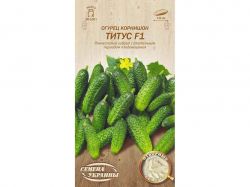 ����� �������� ����� F1 �� 0,5� (20 �����) (��) ����Ѳ��� �������