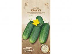 ����� ���� F1 �� 0,5� (20 �����) (��) ����Ѳ��� �������