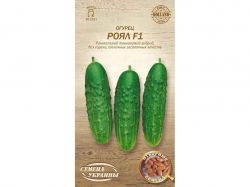 ����� ���� F1 �� 0,25� (20 �����) (��) �������� �������