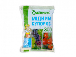 ̳���� ������� 300� ����Ĳ����