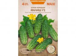 ���� ����� �������� ����� F1 4� (10 �����) (��) �������� �������