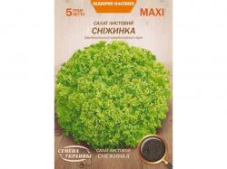 ���� ����� �������� �Ͳ����� 5� (10 �����) (��) ����Ѳ��� �������