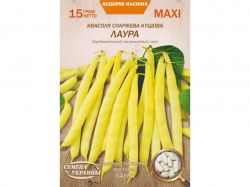 ���� ������� ������ ����� 15� (10 �����) (��) ����Ѳ��� �������