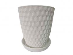 ������ ��������� ��� ���� 5� ���� ����������