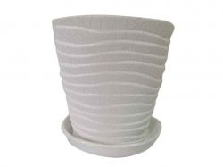 ������ ��������� ������ ���� 5� ���� ���������� - �������� 1