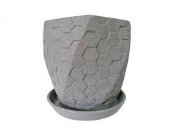 ������ ��������� ������������ ���� 5� ���� ����������