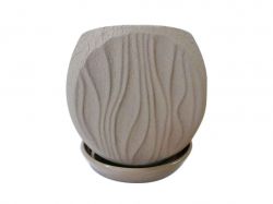 ������ ��������� �������� ���� 5� ���� ����������