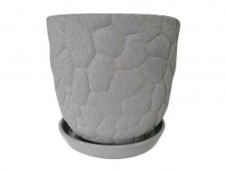 ������ ��������� ������ ���� 5 � ���� ����������