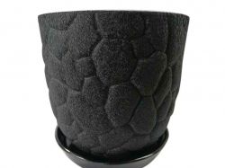 ������ ��������� ������ ���� 5 � ������ ����������