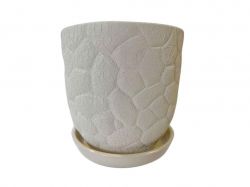 ������ ��������� ������ ���� 5 � ������� ����������