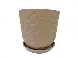 ������ ��������� ������ ���� 5 � ���� ����������