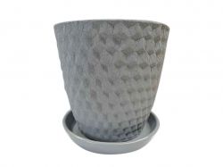 ������ ��������� ��� ���� 5� ���� ����������