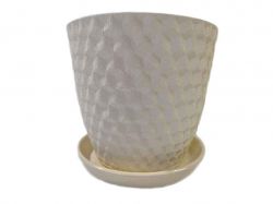 ������ ��������� ��� ���� 5� ������� ����������