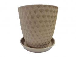 ������ ��������� ��� ���� 5� ���� ����������