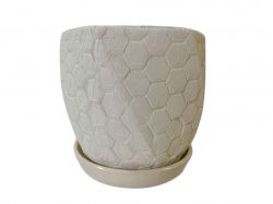 ������ ��������� ������������ ���� 5� ������� ����������