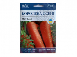 ������ �������� ����� 15� ���Ѳ (10 �����) �������