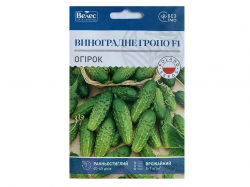 ����� ���������� ����� F1 2,5� ���Ѳ (10 �����) �������