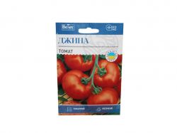 ����� ����� 1� ���Ѳ (10 �����) �������