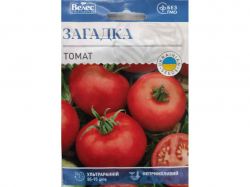 ����� ������� 1,5� ���Ѳ (10 �����) �������