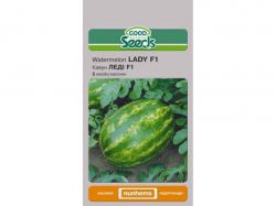 ����� ��Ĳ F1 [5 ������] (10 �����) ��GOOD SEEDS