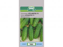  Ҳ F1 [20 ] (10 ) GOOD SEEDS