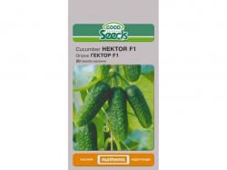 ����� ������ F1 [20 ������] (10 �����) ��GOOD SEEDS