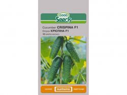 ����� �в�ϲ�� F1 [10 ������] (10 �����) ��GOOD SEEDS