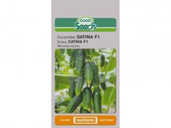 ����� ��Ҳ�� F1 [10 ������] (10 �����) ��GOOD SEEDS