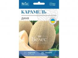 ���� �������� ���Ѳ (10 �����) 5� �������