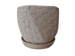 ������ ��������� ������������ ���� 5� ���� ����������