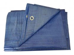 ���� ���������� 65��/�2, 5 � 8� ����� ��FORTUNE